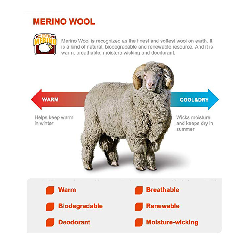 ZEALWOOD Hiking Trekking Men's - Wool Hiking Sock reseña y precio
